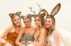Animal Ears for World Book Day Fancy Dress